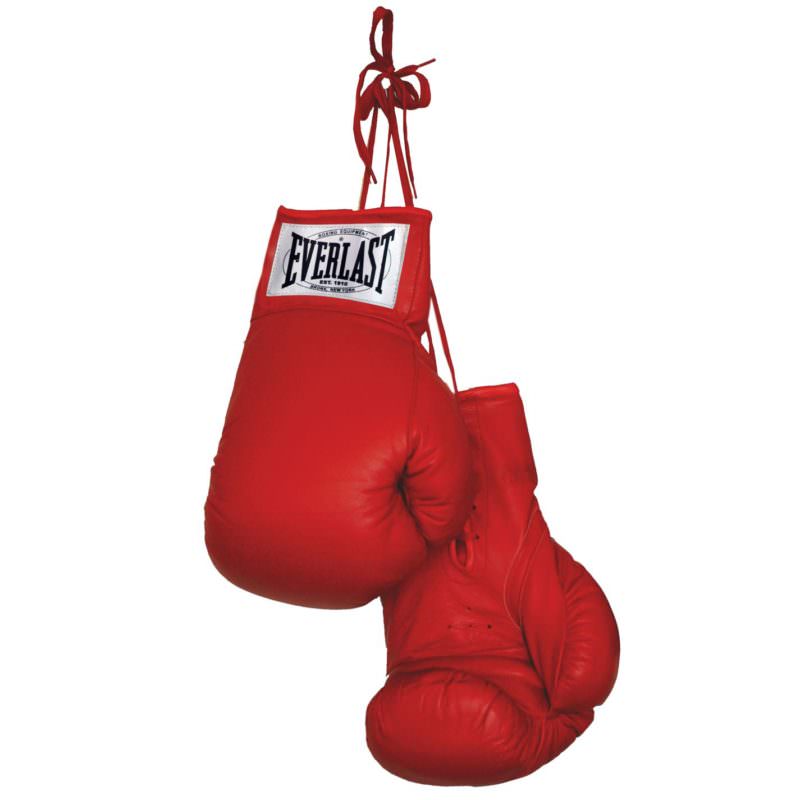 everlast boxing gloves tied together and hanging down